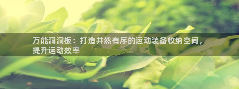 欧陆娱乐官方网站下载：万能洞洞板：打造井然有序的运动