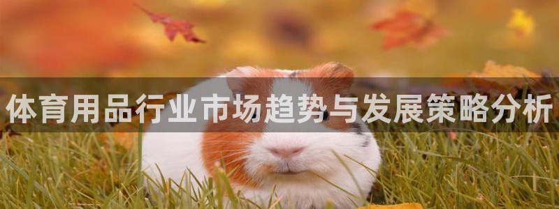 欧陆娱乐平台登录不上怎么回事：体育用品行业市场趋势与