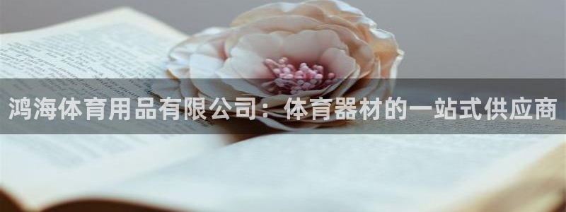 欧陆娱乐登录注册平台：鸿海体育用品有限公司：体育器材