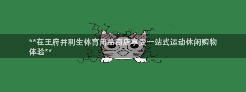 欧陆娱乐平台咋样赚钱的：**在王府井利生体育用品商店享受一站
