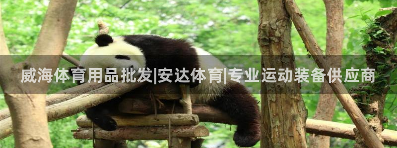 欧陆娱乐怎么样：威海体育用品批发|安达体育|专业运动装备供应