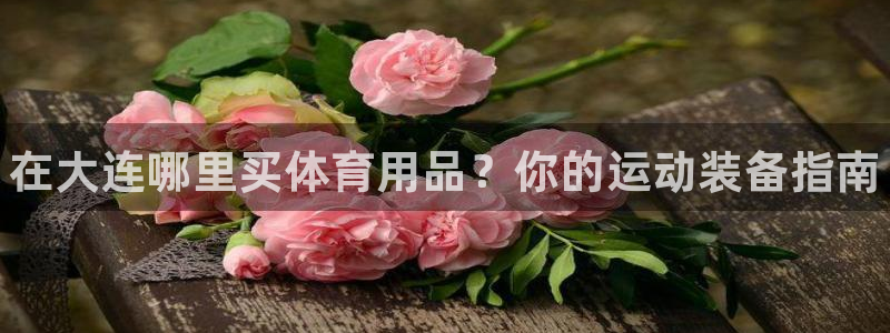 欧陆娱乐平台登录不上去了：在大连哪里买体育用品？你的