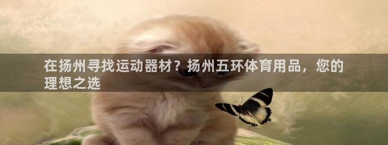 欧陆娱乐注册链接安全吗知乎：在扬州寻找运动器材？扬州五环体育