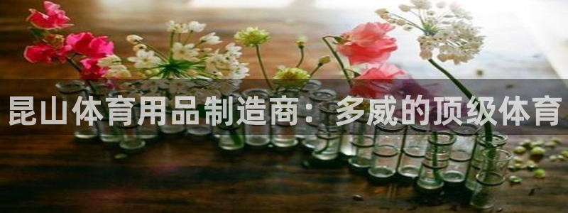 欧陆娱乐登陆平台官网：昆山体育用品制造商：多威的顶级体育