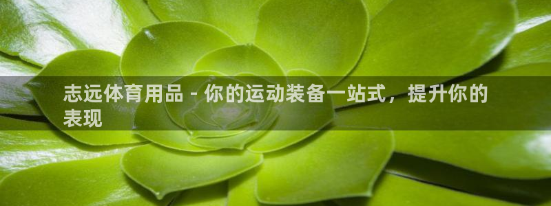 欧陆娱乐简介:志远体育用品 - 你的运动装备一站式,提升你的