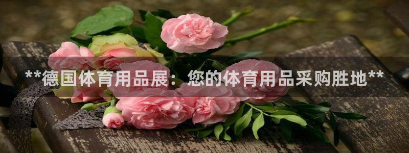 欧陆娱乐公司产品介绍大全:**德国体育用品展:您的体育用品采