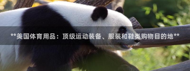 欧陆娱乐平台优势：**美国体育用品：顶级运动装备、服