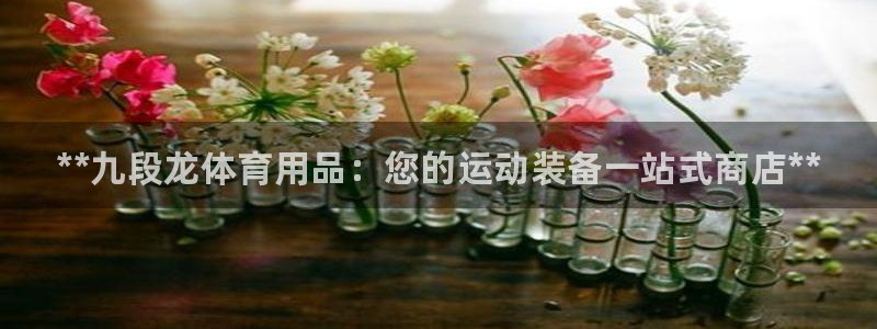 欧陆娱乐百科百度：**九段龙体育用品：您的运动装备一站式商店