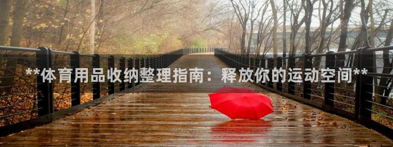 欧陆娱乐中国：**体育用品收纳整理指南：释放你的运动空间**