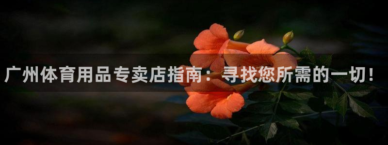 欧陆娱乐官网下载安装：广州体育用品专卖店指南：寻找您所需的一