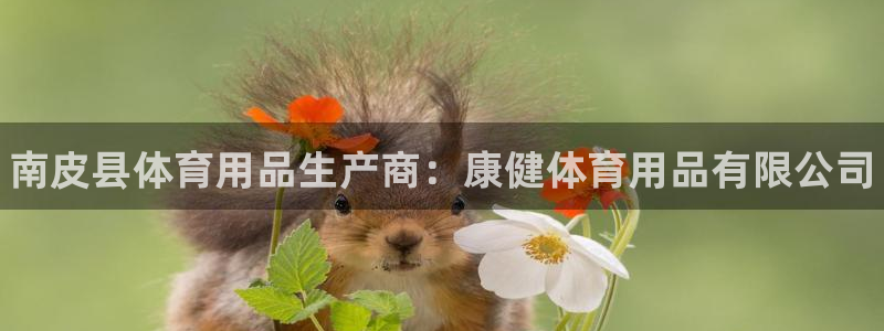 欧陆娱乐平台登陆地址是什么样的：南皮县体育用品生产商：康健体